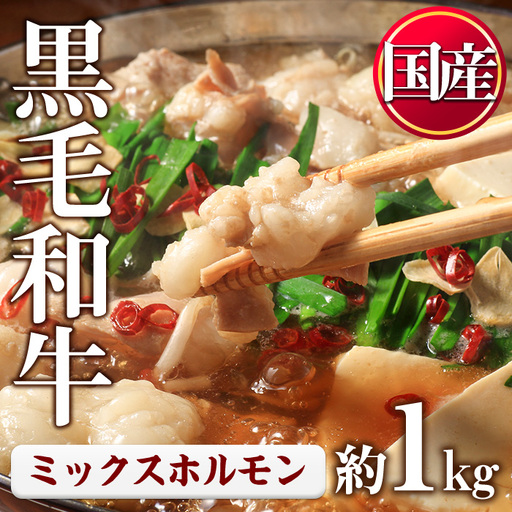 黒毛和牛 ミックス ホルモン 計1kg 国産 牛肉 【LRプラスK】No.1001-01