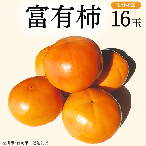富有柿 L 16玉 (桜川市・石岡市共通返礼品) 果物 くだもの フルーツ 柿 かき 2026年11月中旬以降発送 [DC001sa]