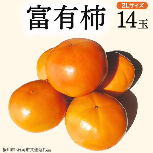 富有柿 2L 14玉 (桜川市・石岡市共通返礼品) 果物 くだもの フルーツ 柿 かき 2026年11月中旬以降発送 [DC003sa]