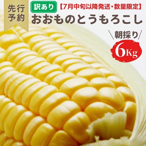 とうもろこし おおもの 6kg 訳あり 農家直送 朝採り【 先行予約2026年7月中旬発送】
