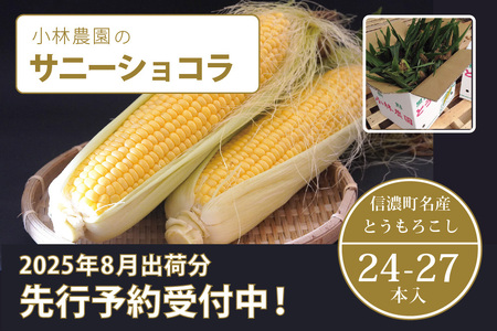 【2026年夏の予約受付開始！】 小林農園のとうもろこし（24～27本セット）信濃町産サニーショコラ｜令和8年8月上旬以降順次お届け予定 生産者直送 2026年夏出荷分 先行予約【長野県信濃町ふるさと納税】
