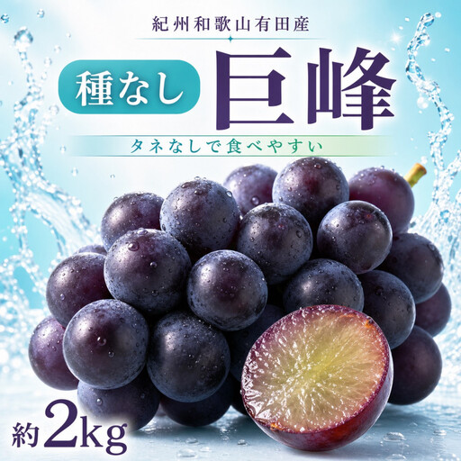 紀州有田産の種なし巨峰ぶどう約2kg[先行予約][2026年8月中旬以降発送予定] 巨峰