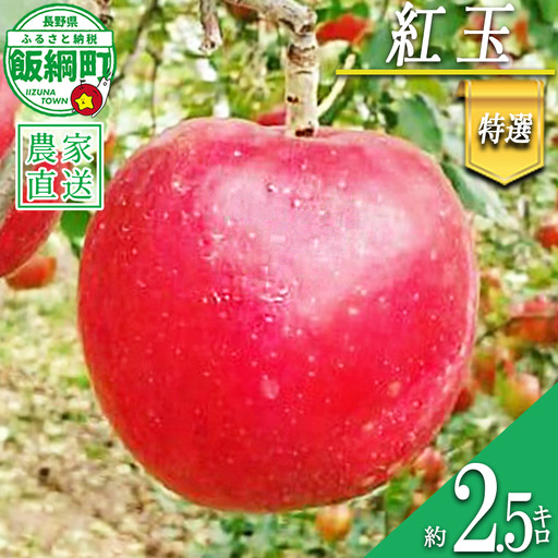りんご 紅玉 特選 2.5kg やまじゅうファーム 沖縄県への配送不可 2026年10月上旬頃から2026年10月中旬頃まで順次発送予定 令和8年度収穫分 信州の環境にやさしい農産物 減農薬栽培 長野県 飯綱町 [1536]