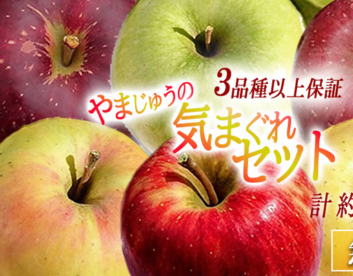 りんご 3品種以上保証 気まぐれセット 3kg 詰め合わせ セット やまじゅうファーム 沖縄県への配送不可 2026年11月中旬頃から2026年12月下旬頃まで順次発送予定 令和8年度収穫分 信州の環境にやさしい農産物 減農薬栽培 長野県 飯綱町 [1538]