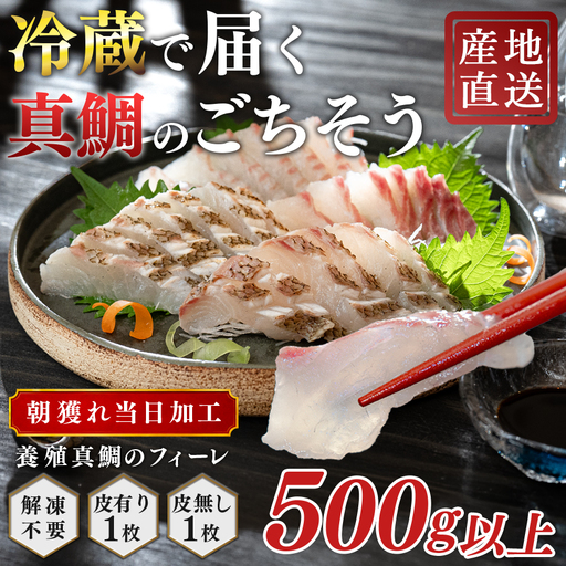 【先行受付】 朝獲れ 真鯛 フィーレ 皮付き 皮なし 500g以上 刺身 冷蔵 養殖 たい タイ マダイ セット 真空パック 産地直送 当日発送 鮮度抜群 鯛めし 鯛丼 カルパッチョ お取り寄せ ギフト 贈答 はやぶさ水産 四国 高知県 大月町 柏島産
