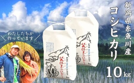 令和6年産 新潟県産コシヒカリ10kg 笑穂志(えぼし)のひかり 2024年産 糸魚川 新潟産こしひかり10kg  コシヒカリ こしひかり 精米 白米 おすすめ Ｕ’ファーム
