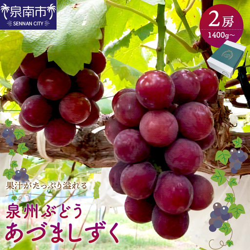 泉州ぶどう あづましずく 2房【065D-012】