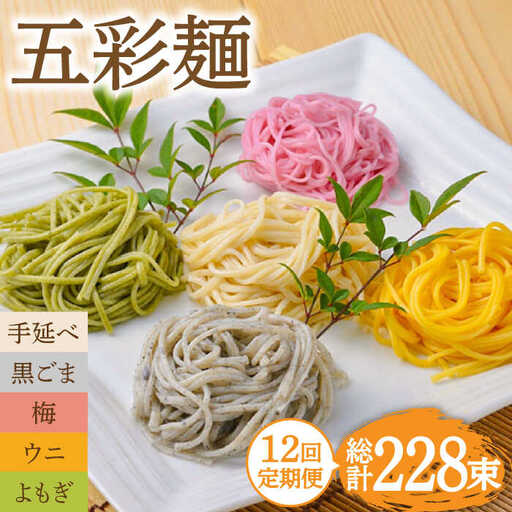 【12回定期便】五彩麺 セット（19束）/ そうめん 素麺 黒ごま 梅 うに よもぎ / 麺 乾麺 食べ比べ 詰め合わせ カラフル / 南島原市 / のうち製麺 [SAF032]