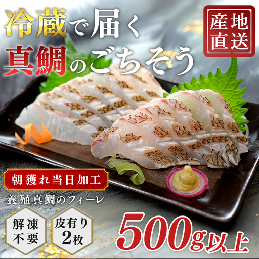 【先行受付】 朝獲れ 真鯛 フィーレ 皮付き 500g以上 刺身 冷蔵 養殖 たい タイ マダイ セット 真空パック 産地直送 当日発送 鮮度抜群 鯛めし 鯛丼 カルパッチョ 塩焼き お取り寄せ ギフト 贈答 はやぶさ水産 高知県 大月町 柏島産