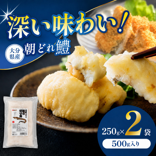 【数量限定】鱧（はも）の切り身 250g×2袋 | 魚 さかな サカナ 切り身 きりみ はも 鱧 小分け ハモ 魚の切り身 お鍋 水炊き フライ 天ぷら 冷凍 産地直送 中津産 九州産 大分県 中津市