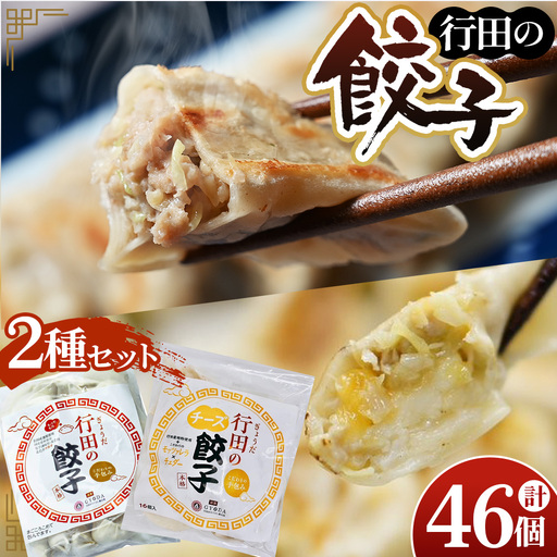 餃子セット(行田のチーズ餃子・行田の餃子)各1袋 No.280