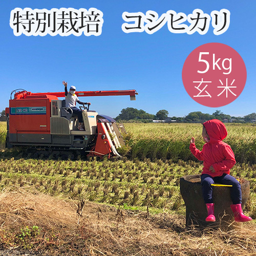特別栽培 コシヒカリ 玄米５kg No.300