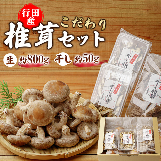 行田産こだわり椎茸セット(生椎茸・干し椎茸) No.005