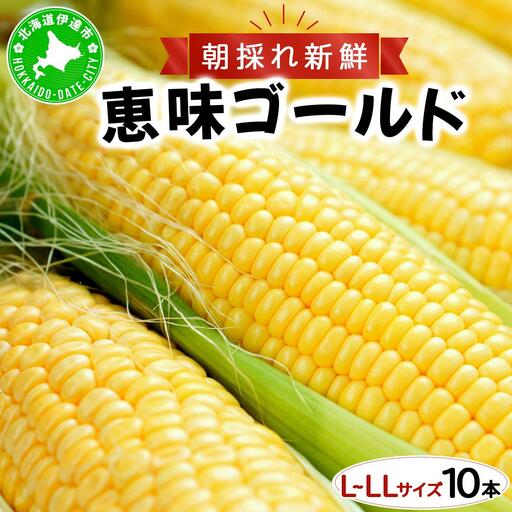 【 2027年先行予約】北海道 朝もぎ とうもろこし 恵味 ゴールド L-LLサイズ 10本【55250828】