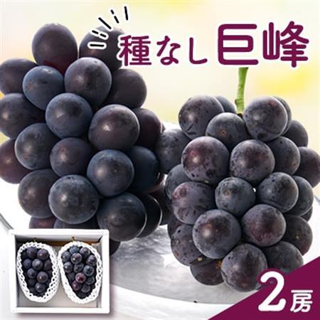 種なし巨峰(2房)【配送不可地域：離島】【1300007】