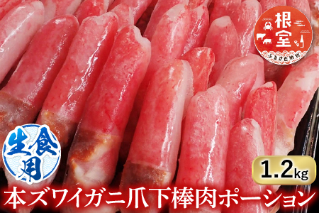 根室海鮮市場＜直送＞生食用本ズワイガニ爪下棒肉ポーション1.2kg B-28084