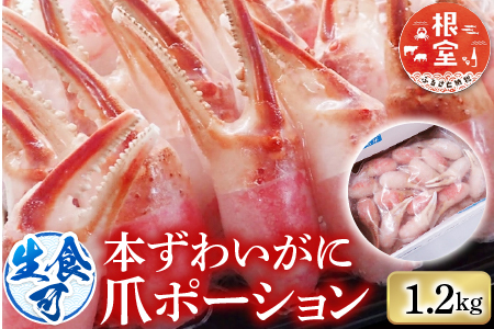 根室海鮮市場＜直送＞生食用本ズワイガニ爪ポーション1.2kg B-28086