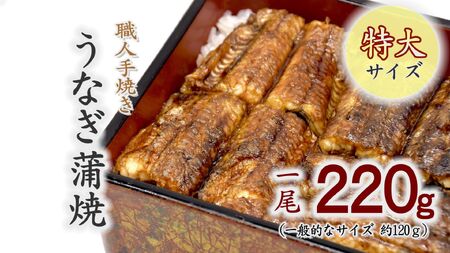 職人手焼きの特大鰻蒲焼220g うなぎ うなぎ[1.2-6]