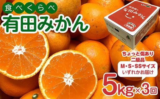 定期便 ちょっと 傷あり 5kg ×3 回 コース 有田みかん 食べくらべ 3種 全3回 南泰園 みかん