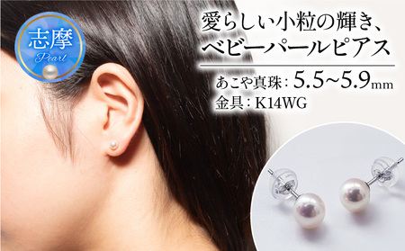 真珠 ピアス 5.5 〜 .9 mm ( K14 WG ) アクセサリー パール ジュエリー 三重 伊勢 志摩 真珠 パールアコヤ アコヤ貝 あこや 冠婚葬祭 慶事 誕生日 結婚式 記念日 お祝い 贈り物 ギフト 普段使い 愛らしい小粒の輝き、ベビーパール ピアス