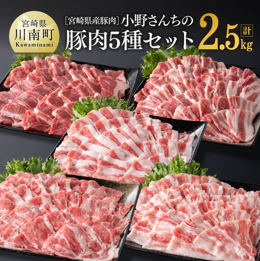 豚肉 宮崎県産豚肉小野さんちの豚肉５種セット2.5kg