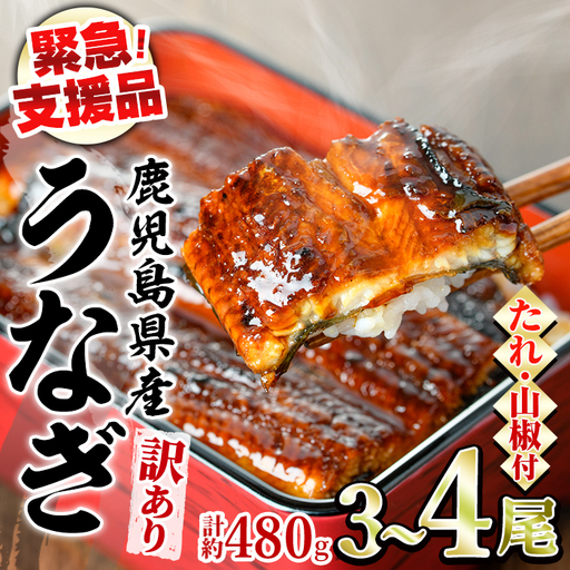 [緊急支援品][訳あり]鰻の蒲焼き(無頭)(3〜4尾・計約480g・タレ、山椒付) うなぎ ウナギ 鰻 国産 蒲焼 蒲焼き たれ 鹿児島 ふるさと 人気 支援[アクアおおすみ][0134350a]