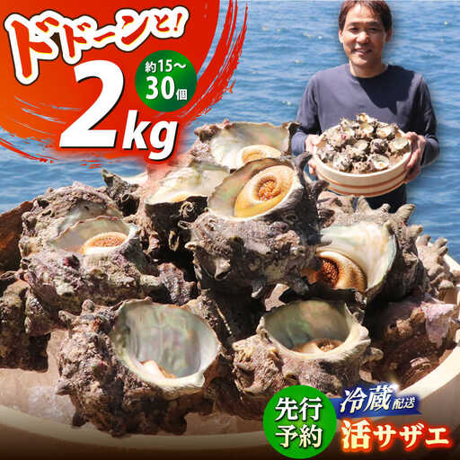 先行予約 2026年6月発送 サザエ 天然 活サザエ 2kg 15〜30個 朝獲れ BBQ小浜市 / 桝屋商店[配送不可地域:北海道・沖縄・離島] [BFAO015]