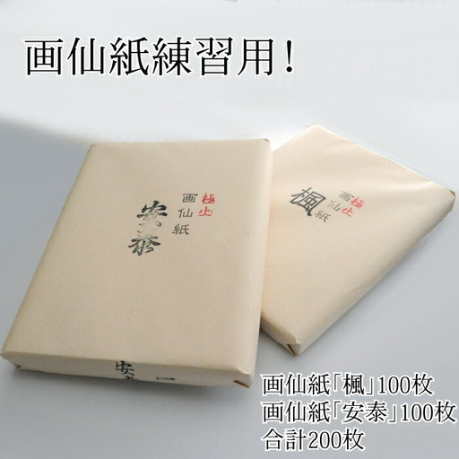 画仙紙練習用！