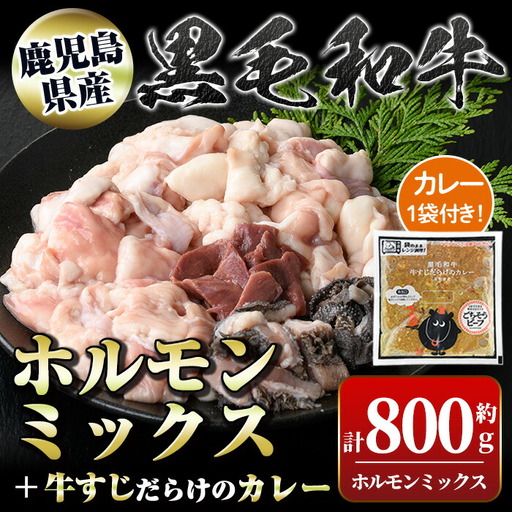 【A91031】黒毛和牛ホルモンミックス(計800g)＋黒毛和牛牛すじだらけのカレー(1袋)セット！ 鹿児島 国産 牛肉 黒毛和牛 牛肉専門店 和牛日本一 惣菜 おかず 牛すじ ホルモン ミックス レトルトカレー ご当地カレー【新村畜産】