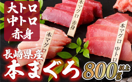 長崎県産 本マグロ (大トロ・中トロ・赤身) 計800g以上 海鮮丼のタレ付き【本家永松家】 冷凍 真空パック マグロ まぐろ 鮪 大トロ 大とろ 中トロ 中とろ 赤身 セット 刺身 海鮮丼 A143p