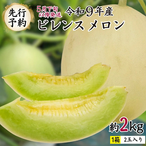 [先行予約]ビレンスメロン 約2kg(2玉) [AV007ya] 5月下旬発送 メロン 青肉メロン 果物 フルーツ 夏 ギフト