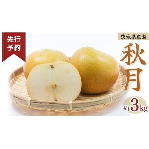 [ 先行予約 ]秋月 6〜12玉 ( 約3kg ) [ 2026年8月下旬発送開始]