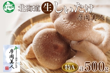 しいたけ 特A 秀品 2パック 計500g 摩周美人 シイタケ 椎茸 生しいたけ きのこ キノコ 菌床栽培 大粒 肉厚 BBQ バーベキュー 送料無料 北海道 弟子屈町 5000円 1803