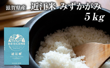お米 みずかがみ 5kg 精米 令和7年産 近江米 お米