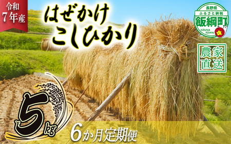 米 はぜかけ こしひかり 5kg × 6回 【 6か月 定期便 】( 令和7年産 ) 増田ファーム 沖縄県への配送不可 2025年11月上旬頃から順次発送予定 コシヒカリ 白米 精米 お米 信州 予約 農家直送 長野県 飯綱町 [0816]