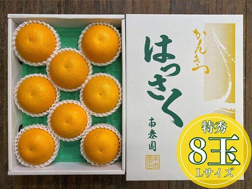 化粧箱 手詰め 有田 はっさく 特秀 L サイズ × 8玉入 南泰園 みかん