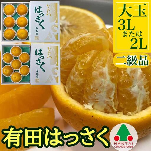 手詰め 有田 はっさく 大玉 3L × 6玉 または 2L × 7玉 ちょっと 傷あり 南泰園 みかん