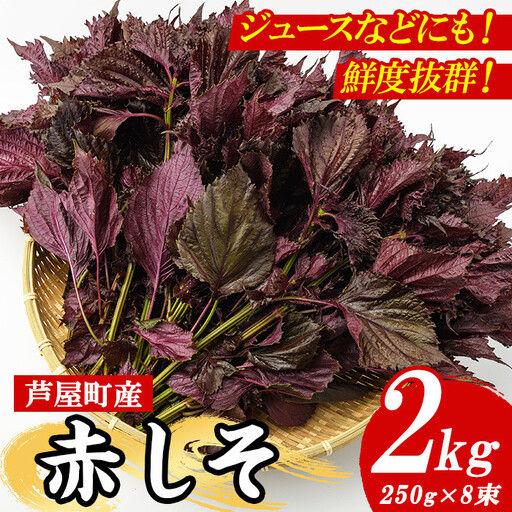 [2026年6月上旬より順次発送]赤しそ 2kg as05-067