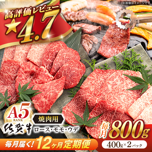 【定期便】 牛肉 焼肉 佐賀牛 A5 総計9.6kg NAB231 焼肉 全12回