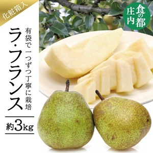 有袋栽培 ラ・フランス 約3kg(7〜10玉入) 化粧箱入