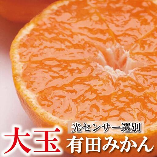 【先行予約】家庭用 大きな有田みかん（完熟）10kg+250g（傷み補償分） ※11月より発送【わけあり・訳あり】【光センサー選果】※北海道・沖縄・離島配送不可 / みかん くだもの 果物 和歌山 有田みかん 有田 ミカン【ikd120D】