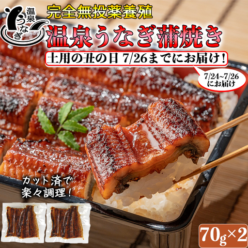 土用の丑 までに(7/24～7/26)お届け 完全無投薬養殖 温泉うなぎ蒲焼 (カット) 70g×2【大分水産】 国産 うなぎ 丑の日 土用の丑の日 鰻 ＜104-057＞