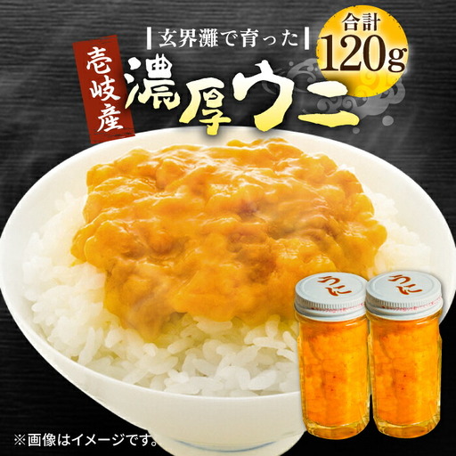 【お中元】ウニ 60g 2本 JDR022 ムラサキウニ
