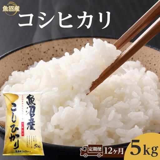【12ヶ月定期便】魚沼産コシヒカリ　5kg　1回目は注文確認後1週間以内に発送｜新潟県　魚沼　こしひかり　令和7年産