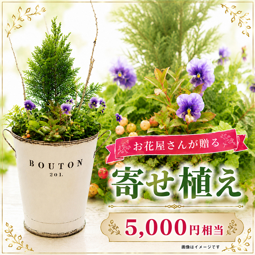 オリジナル 寄せ植え 5000円相当|母の日 誕生日 花ギフト 「百花-MoKa-」