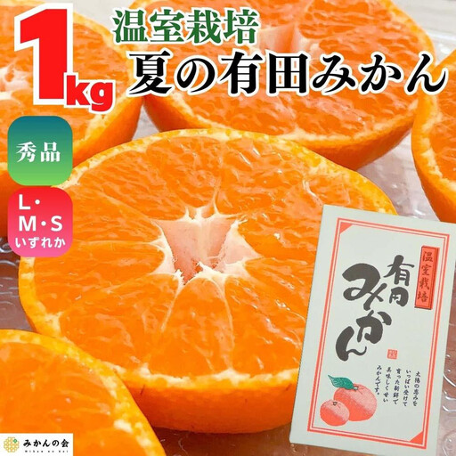 [5月出荷予定]ハウスみかん 温室栽培 夏の有田みかん 1kg 秀品 S・M・Lサイズのいずれか 和歌山県 産地直送 みかんの会