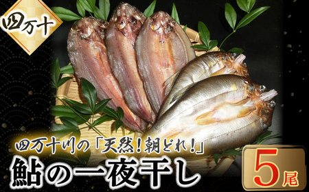 頭からガブッと!四万十川の天然小鮎 一夜干し(5枚セット) あゆ アユ 鮎 魚 魚介 川魚 塩焼き 干物 ひもの 海鮮