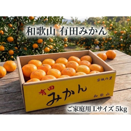 ［ご家庭用・サイズＬ］和歌山有田産！早生みかん≪5kg≫［予約販売］［数量限定］まる隆果樹園