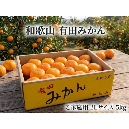 ［ご家庭用・サイズ２Ｌ］和歌山有田産！早生みかん≪5kg≫［予約販売］［数量限定］まる隆果樹園