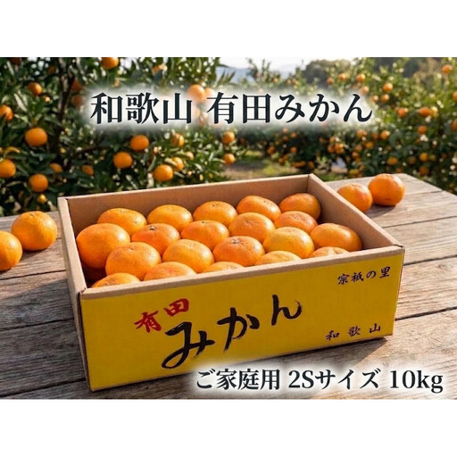 ［ご家庭用・サイズ２Ｓ］和歌山有田産！早生みかん≪10kg≫［予約販売］［数量限定］まる隆果樹園